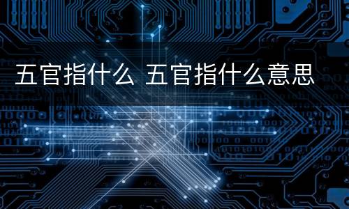五官指什么 五官指什么意思