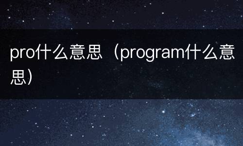 pro什么意思（program什么意思）