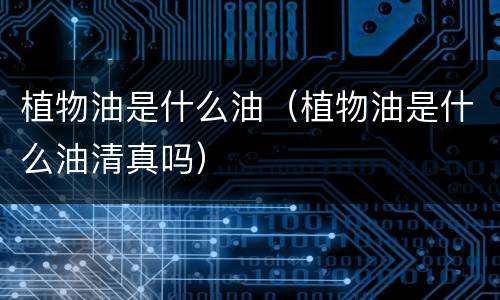 植物油是什么油（植物油是什么油清真吗）