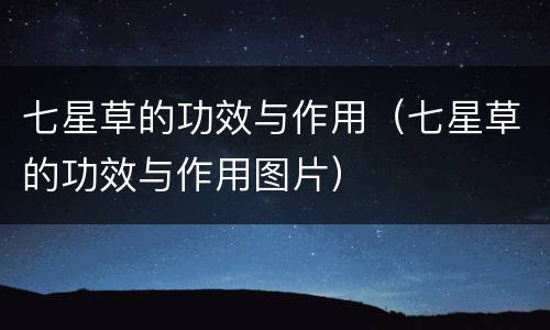 七星草的功效与作用（七星草的功效与作用图片）