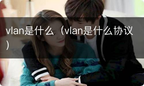 vlan是什么（vlan是什么协议）