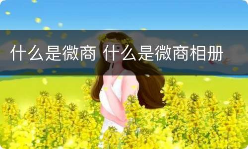 什么是微商 什么是微商相册