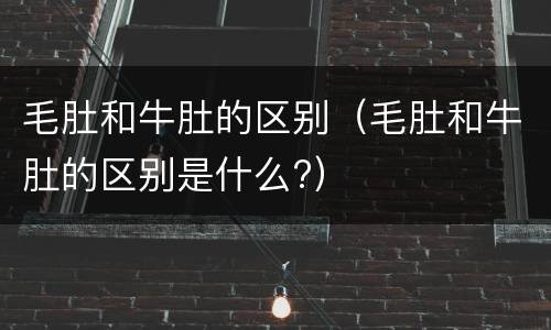 毛肚和牛肚的区别（毛肚和牛肚的区别是什么?）