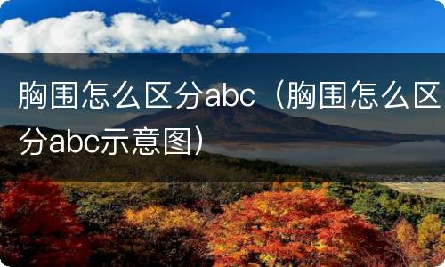 胸围怎么区分abc（胸围怎么区分abc示意图）