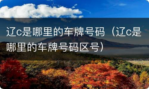 辽c是哪里的车牌号码（辽c是哪里的车牌号码区号）