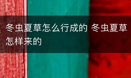 冬虫夏草怎么行成的 冬虫夏草怎样来的