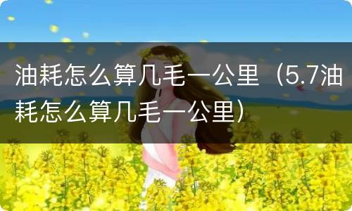 油耗怎么算几毛一公里（5.7油耗怎么算几毛一公里）