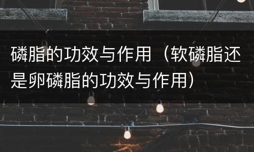 磷脂的功效与作用（软磷脂还是卵磷脂的功效与作用）