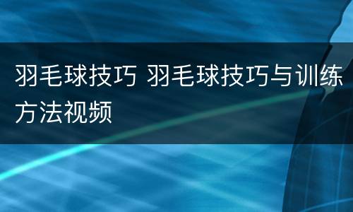 羽毛球技巧 羽毛球技巧与训练方法视频