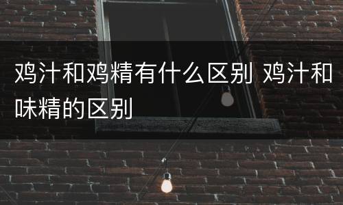 鸡汁和鸡精有什么区别 鸡汁和味精的区别
