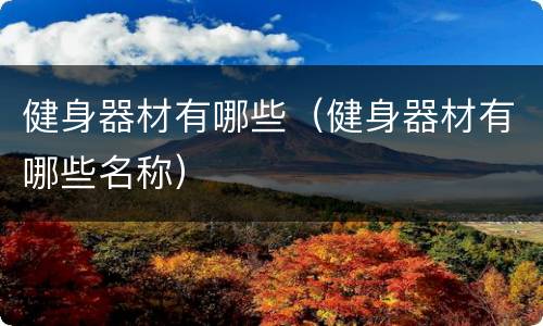健身器材有哪些（健身器材有哪些名称）