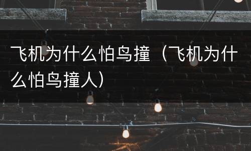 飞机为什么怕鸟撞（飞机为什么怕鸟撞人）