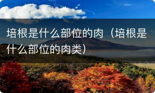 培根是什么部位的肉（培根是什么部位的肉类）