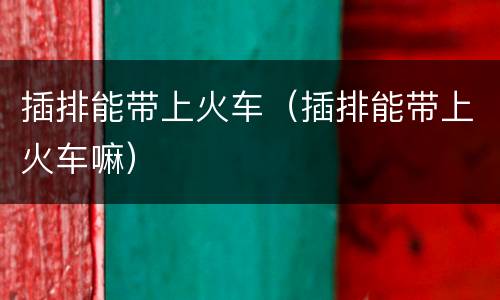 插排能带上火车（插排能带上火车嘛）