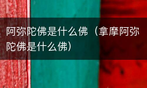 阿弥陀佛是什么佛（拿摩阿弥陀佛是什么佛）