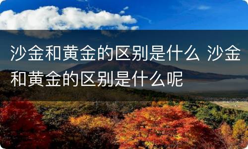 沙金和黄金的区别是什么 沙金和黄金的区别是什么呢