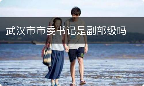 武汉市市委书记是副部级吗