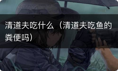 清道夫吃什么（清道夫吃鱼的粪便吗）