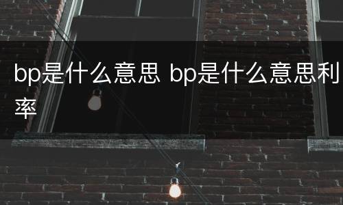 bp是什么意思 bp是什么意思利率