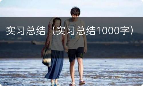 实习总结（实习总结1000字）