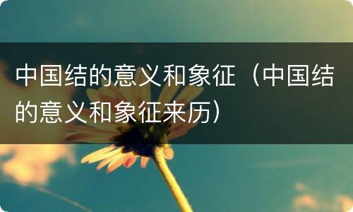 中国结的意义和象征（中国结的意义和象征来历）