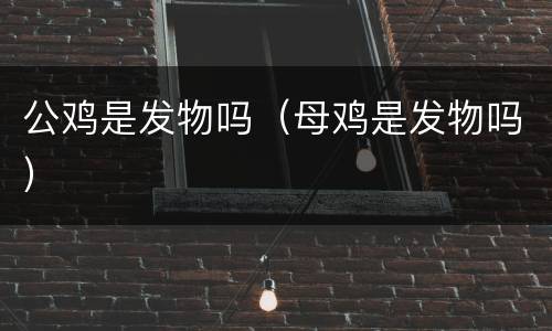 公鸡是发物吗（母鸡是发物吗）