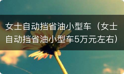 女士自动挡省油小型车（女士自动挡省油小型车5万元左右）
