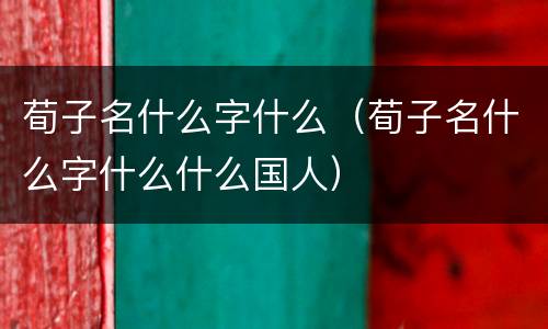 荀子名什么字什么（荀子名什么字什么什么国人）