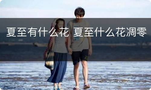 夏至有什么花 夏至什么花凋零