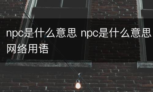 npc是什么意思 npc是什么意思网络用语