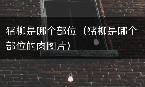 猪柳是哪个部位（猪柳是哪个部位的肉图片）