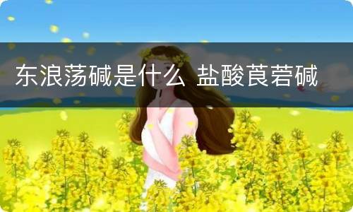 东浪荡碱是什么 盐酸莨菪碱