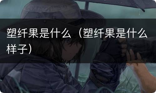 塑纤果是什么（塑纤果是什么样子）