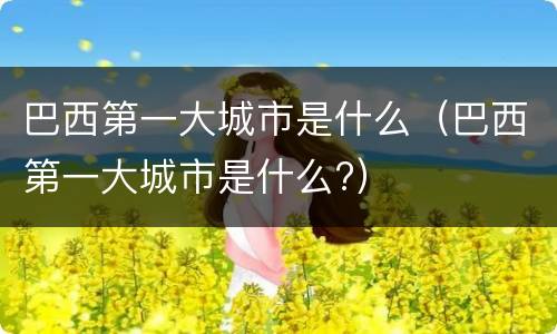 巴西第一大城市是什么（巴西第一大城市是什么?）