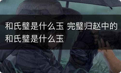 和氏璧是什么玉 完璧归赵中的和氏璧是什么玉