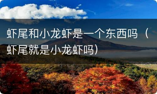 虾尾和小龙虾是一个东西吗（虾尾就是小龙虾吗）