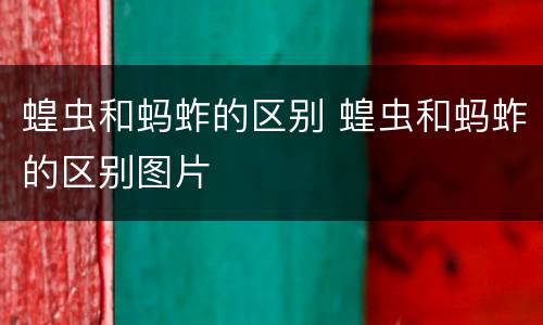 蝗虫和蚂蚱的区别 蝗虫和蚂蚱的区别图片