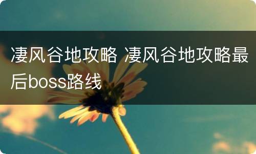 凄风谷地攻略 凄风谷地攻略最后boss路线