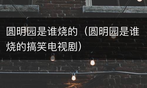 圆明园是谁烧的(圆明园是谁烧的搞笑电视剧)