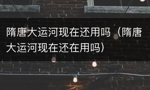 隋唐大运河现在还用吗（隋唐大运河现在还在用吗）