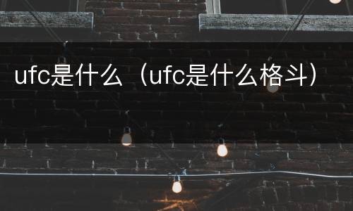 ufc是什么（ufc是什么格斗）