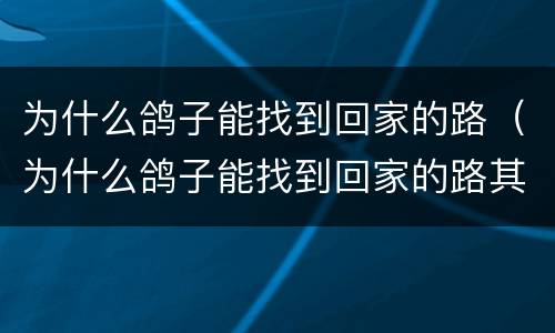 为什么鸽子能找到回家的路（为什么鸽子能找到回家的路其他鸟不鸟）