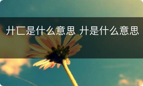 廾匸是什么意思 廾是什么意思