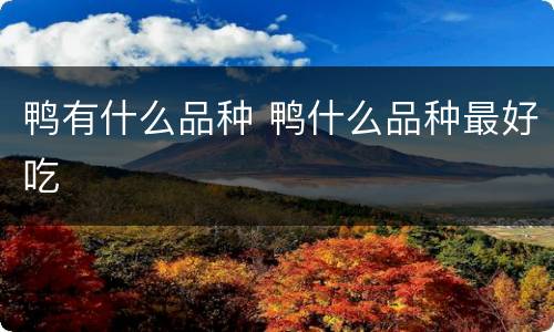 鸭有什么品种 鸭什么品种最好吃