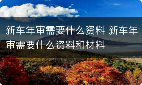 新车年审需要什么资料 新车年审需要什么资料和材料