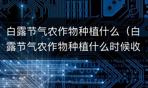 白露节气农作物种植什么（白露节气农作物种植什么时候收获）