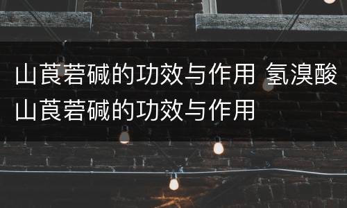 山莨菪碱的功效与作用 氢溴酸山莨菪碱的功效与作用