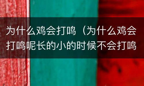 为什么鸡会打鸣（为什么鸡会打鸣呢长的小的时候不会打鸣）