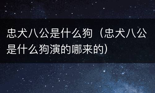 忠犬八公是什么狗(忠犬八公是什么狗演的哪来的)