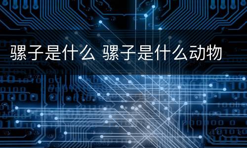 骡子是什么 骡子是什么动物